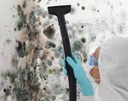 Best Mold Remediation for Vacation Homes  in Eastvale, CA